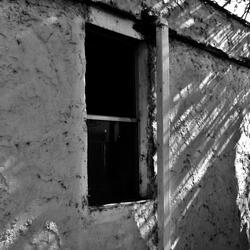 Inertia