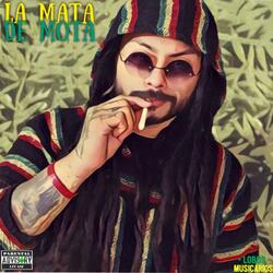 La Mata de Mota