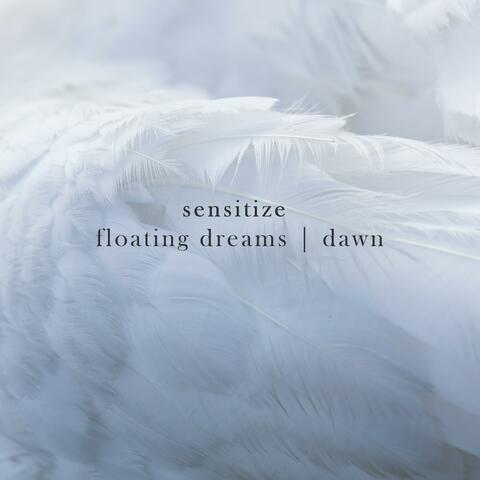 Floating Dreams