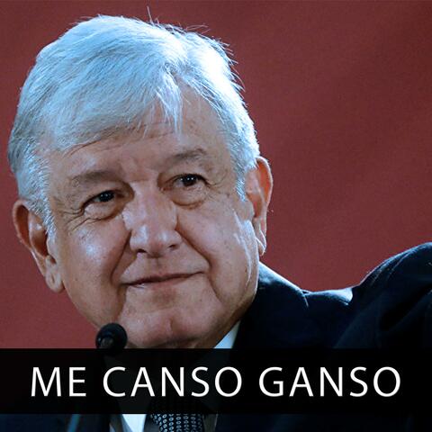 Me Canso Ganso