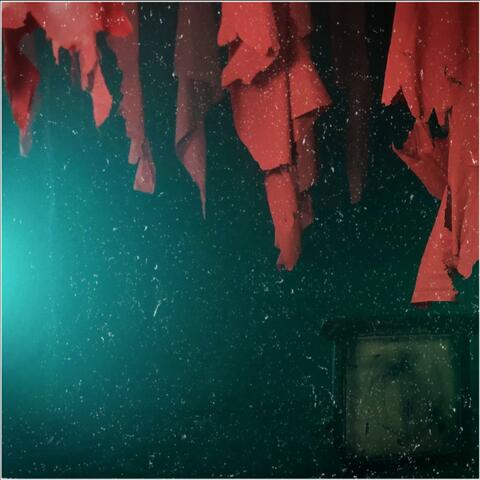 Recluse
