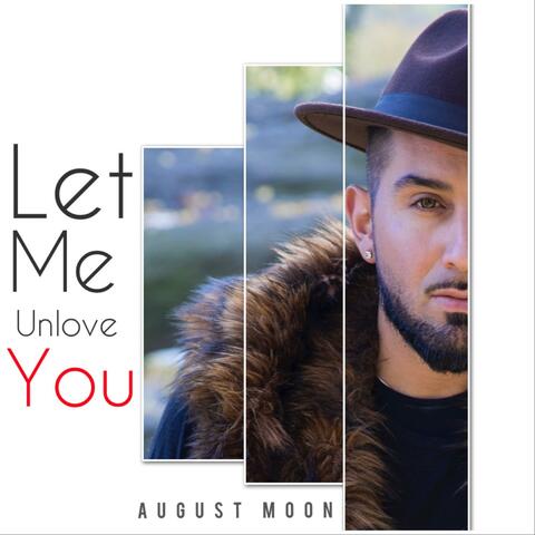 Let Me Unlove You
