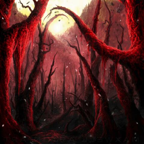 Ceremony of Ash