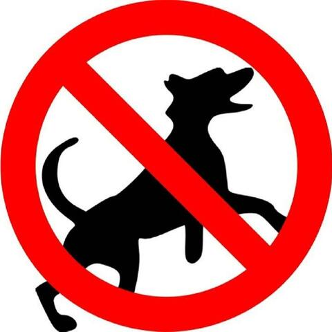 Don't Bark (Here and There)