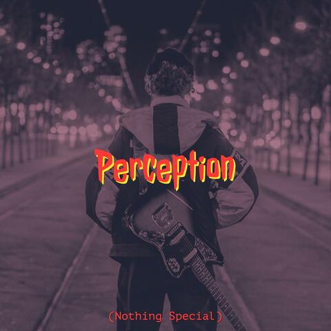 Perception (Nothing Special)
