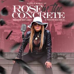 Rose in the Concrete