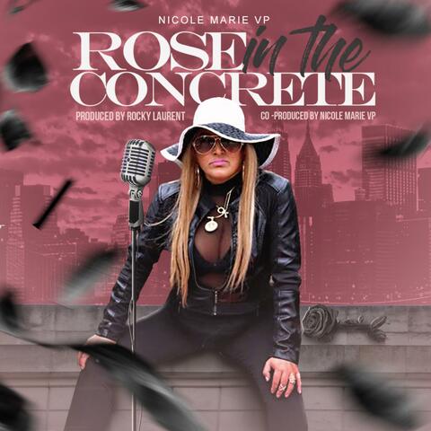 Rose in the Concrete