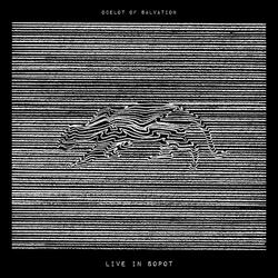 When a Dog Poops on Your Carpet