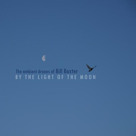 By the Light of the Moon