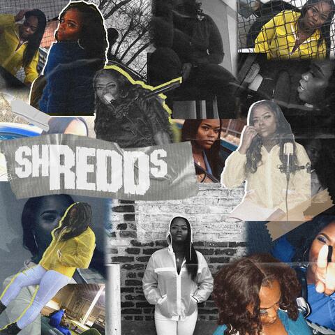Shredds