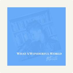 What a Wonderful World