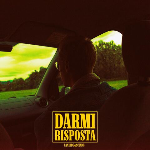 Darmi Risposta