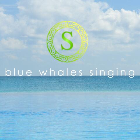 Blue Whales Singing (Yoga Music Album)