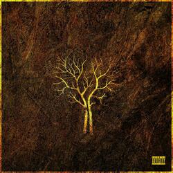 Affirmations (Brave Soul) [feat. Ryan Andrews]