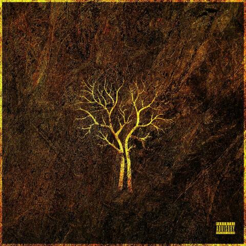 Affirmations (Brave Soul) [feat. Ryan Andrews]