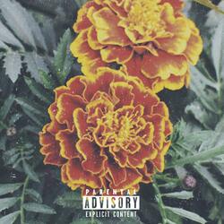 Marigold (feat. Iceberg Pat)