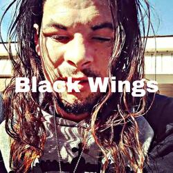Black Wings Freestyle