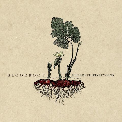 Bloodroot