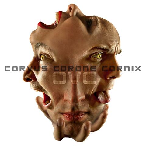 Corvus Corone Cornix