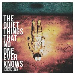 The Quiet Things That No One Ever Knows (Acoustic Cover)