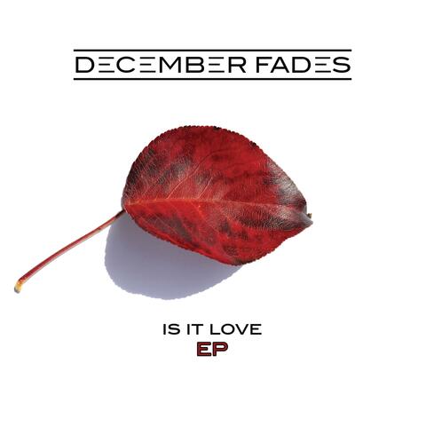 Is It Love EP