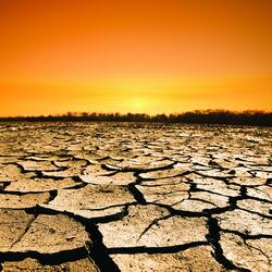 Its Been a Long Day (Scorched Earth Edition)