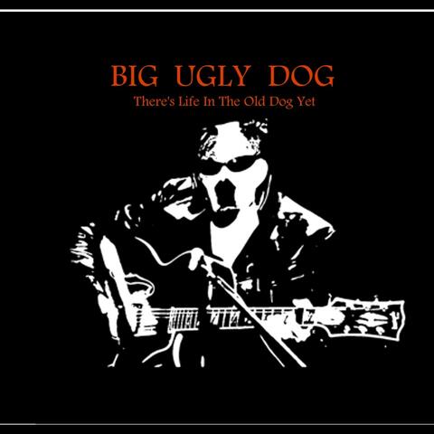 There's Life in the Old Dog Yet