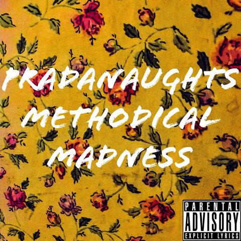 Methodical Madness