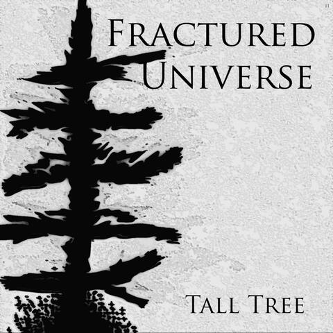 Tall Tree