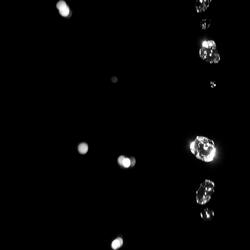 Experiment 10