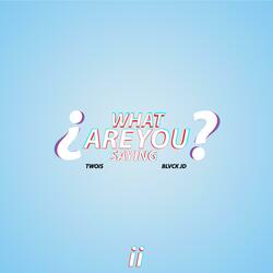 What Are You Saying?