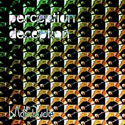 Perception Deception