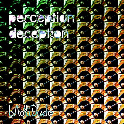 Perception Deception