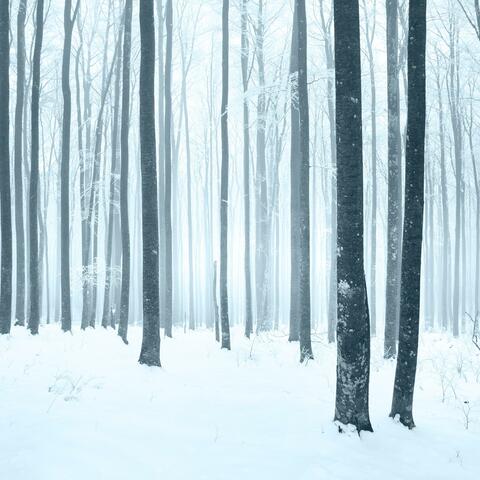 The Clearing