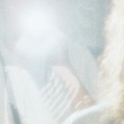 Love You Won't Say / Sunshine