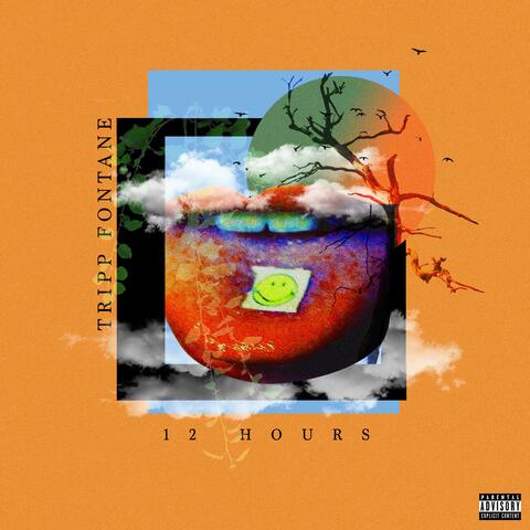 12 Hours
