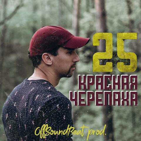 25