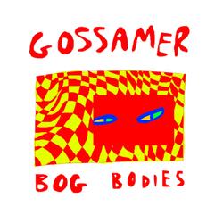 Bog Bodies
