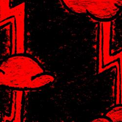 Where Have They Gone