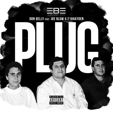 Plug