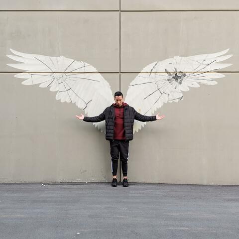 Broken Wings