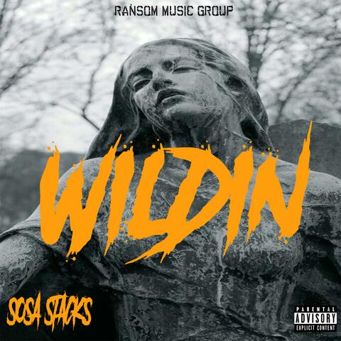 Wildin'