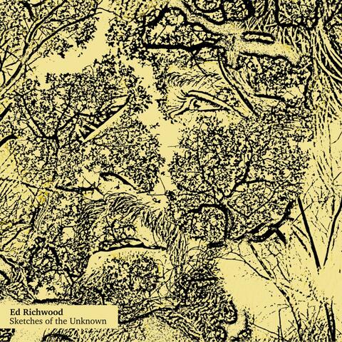Sketches of the Unknown
