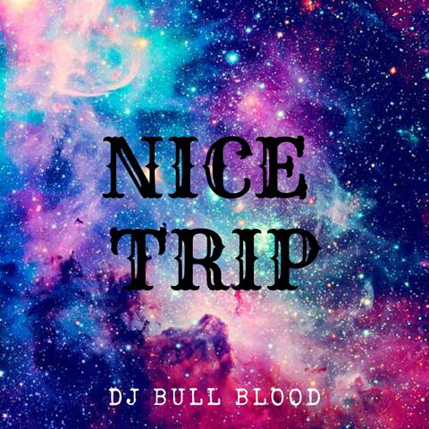 Nice Trip