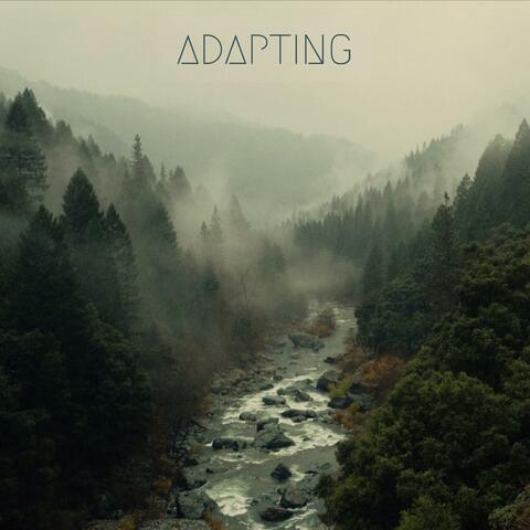 Adapting