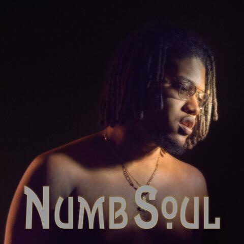 Numb Soul