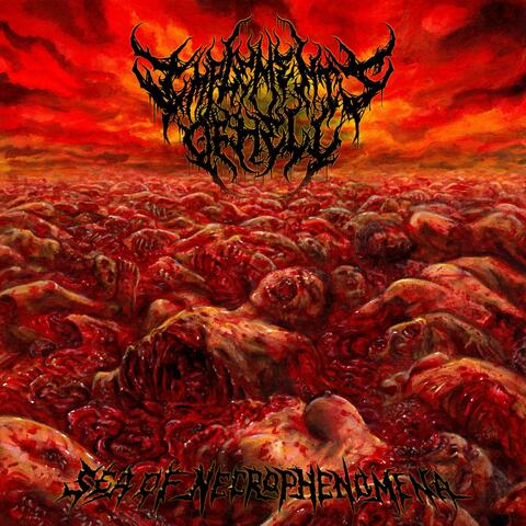 Sea of Necrophenomena