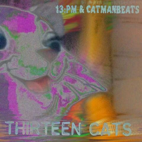 13 Cats