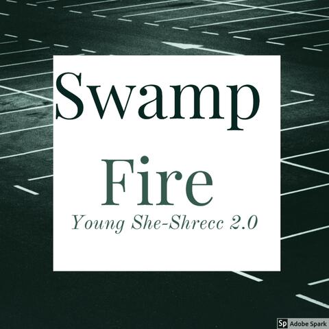 Swamp Fire