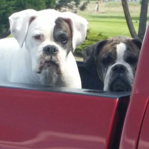 We Just Want to Play